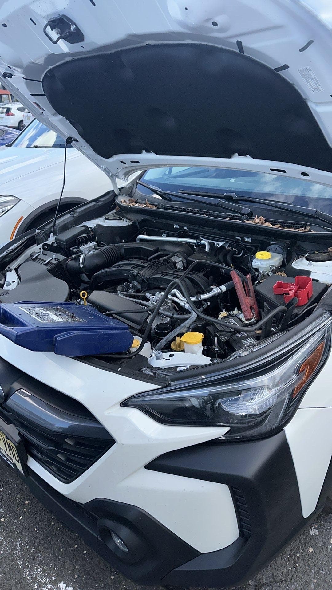 Professional jump start service with cables connected to car battery